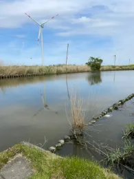 Helser Fleet / Kattrepler Fleet-1