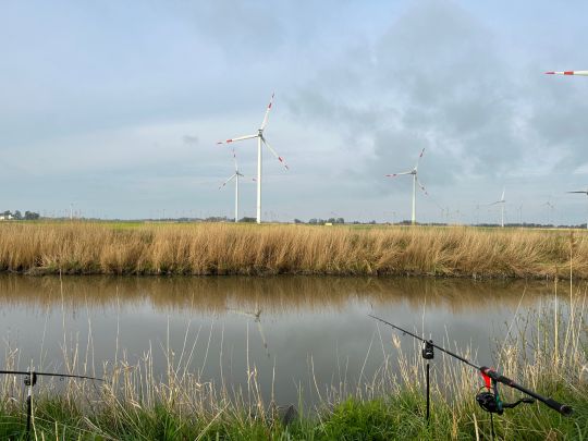 Helser Fleet / Kattrepler Fleet-3