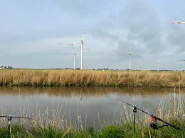 Helser Fleet / Kattrepler Fleet-3