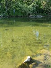 Mangfall (Bruckmühl)