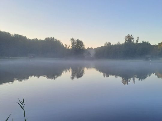 Angelsee Wassermühle (Bendestorf)-4