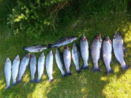 Angelsee Wassermühle (Bendestorf)-2