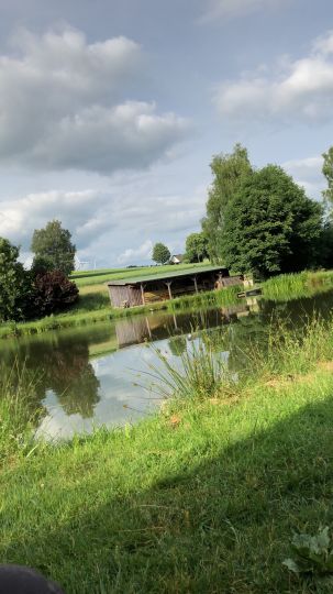 Teichanlage Gefrees-1