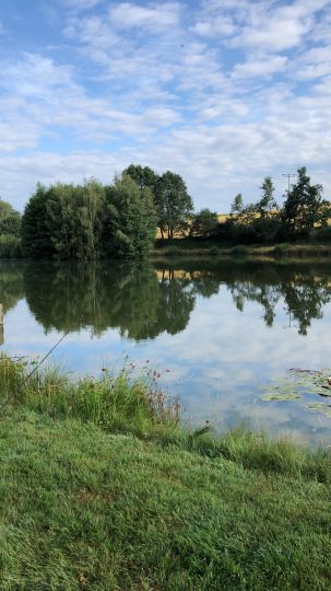 Teichanlage Gefrees