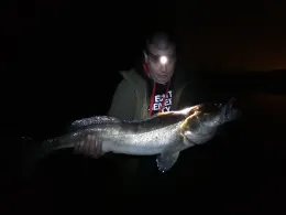 Horster Moorsee (Seevetal)