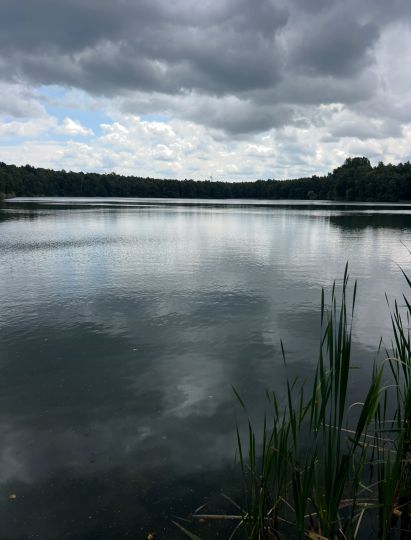 Horster Moorsee (Seevetal)-1