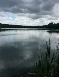 Horster Moorsee (Seevetal)-1