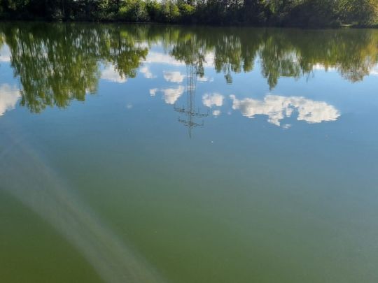 Hundensee (Tapfheim)