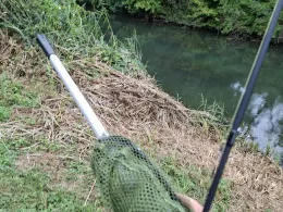 Altrhein Hügelsheim-4