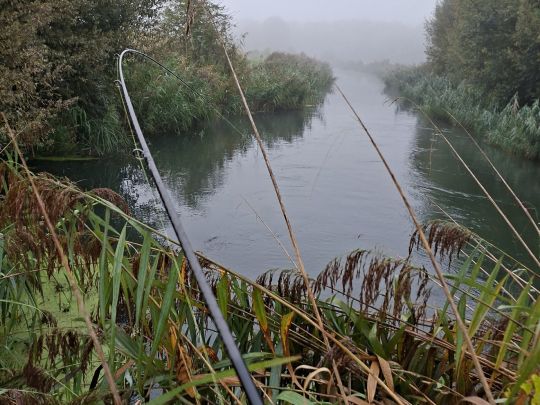 Altrhein Hügelsheim-2