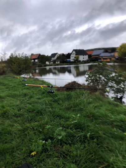 Dorfweiher Wimmelbach