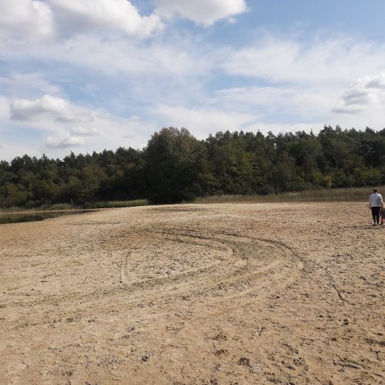 Güldensee (Groß Köris)-2
