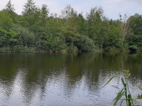 Torfstich Fliegerhorstwiesen-1