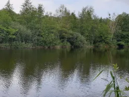 Torfstich Fliegerhorstwiesen-1