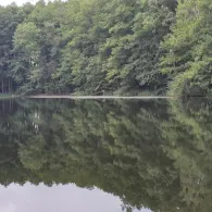 Torfstich Fliegerhorstwiesen