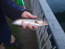 Nord-Ostsee-Kanal (Kiel)-4