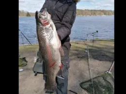 Forellensee Osloß-3