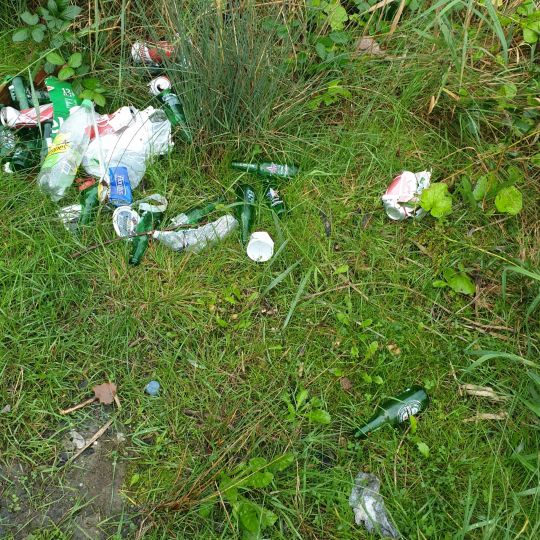 Rhein (Rheinmünster)-1