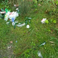 Rhein (Rheinmünster)-1