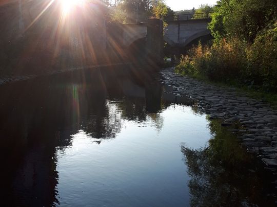 Angeln in Niederdreisbach