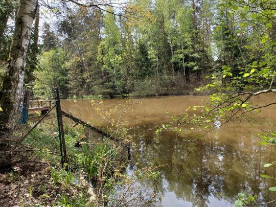 Holzweiher (Forsthof)