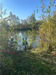 Löhlinsee (Bahlingen am Kaiserstuhl)