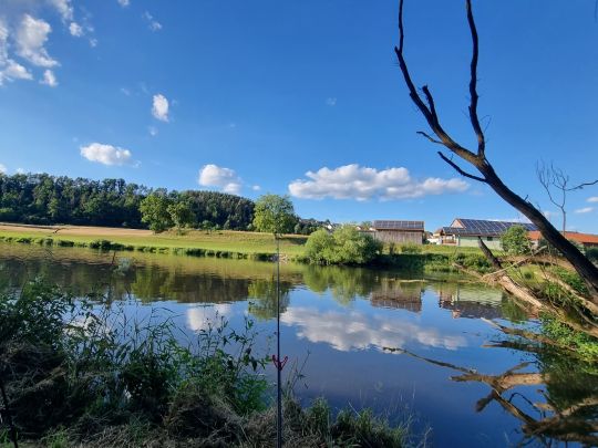 Regen (Walderbach)-3