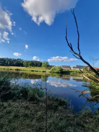 Regen (Walderbach)-4