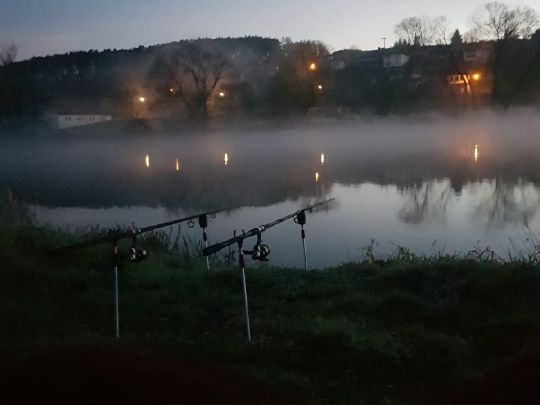 Regen (Walderbach)-1