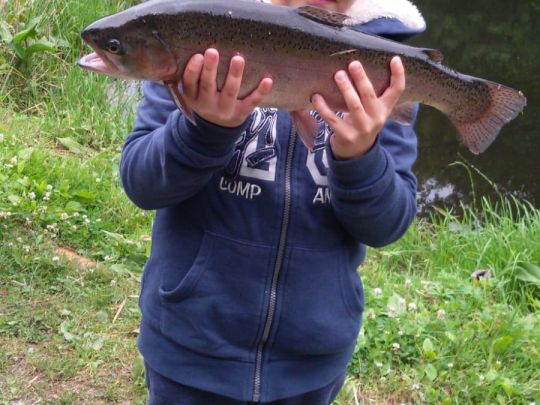 Hammerteich (Remscheid)