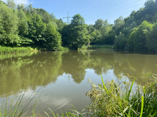 Hammerteich (Remscheid)-1