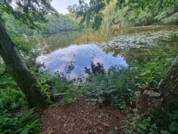 Grundlossee (Sewekow)-2