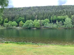 Clausensee (Waldfischbach-Burgalben)-1