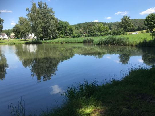Stauweiher Dohm-Lammersdorf