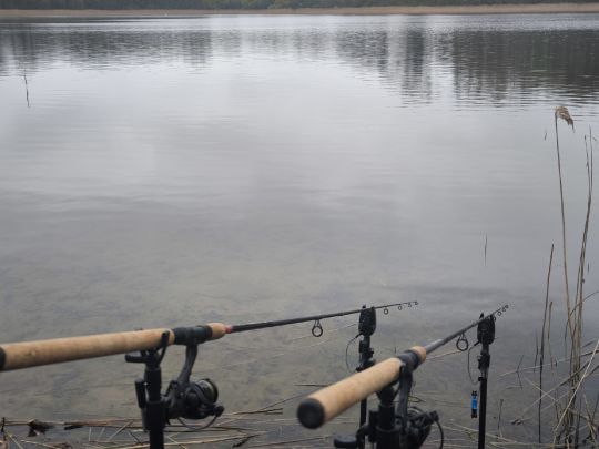 Ortmannsee (Witzin)
