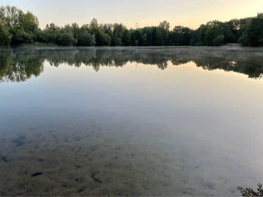 Laher Teich (Hannover) ALLE ANGELN