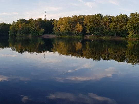 Laher Teich (Hannover) ALLE ANGELN