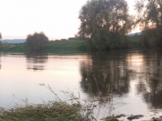 Weser (Höxter)-2