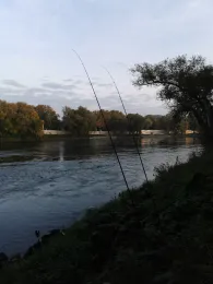 Donau (Ingolstadt)-1