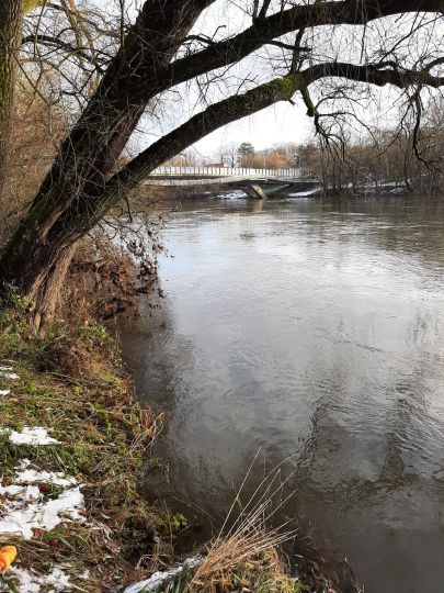 Donau (Ingolstadt)-2