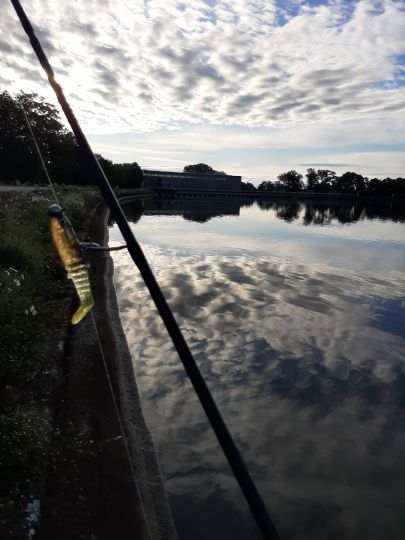 Donau (Ingolstadt)-3