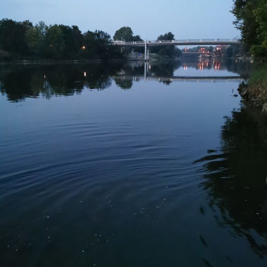 Donau (Ingolstadt) angeln