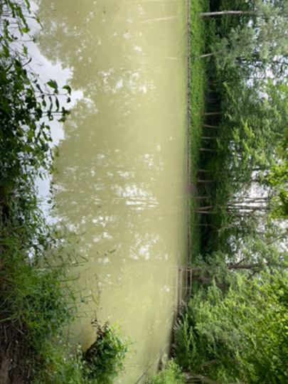 Floriansee (Metzingen)-1