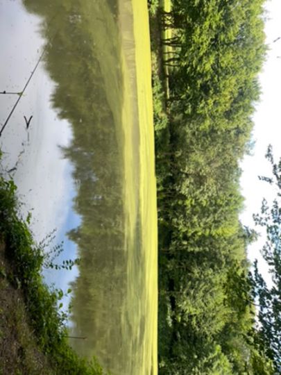 Floriansee (Metzingen)-3