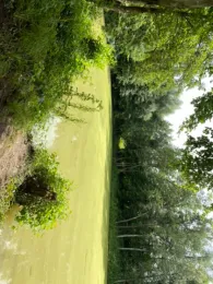 Floriansee (Metzingen)-2