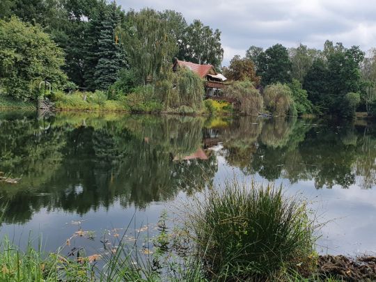 Ziegeleiteich Weißwasser-3