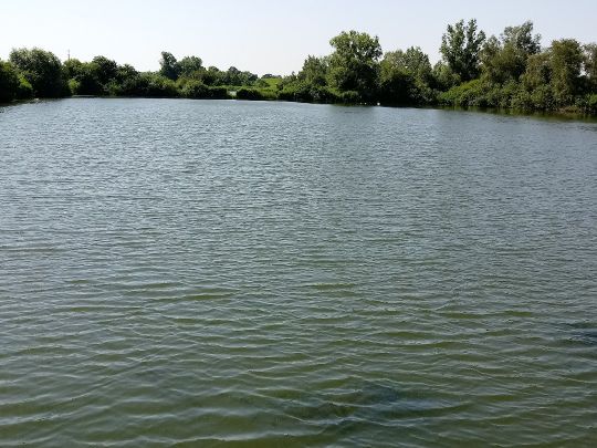 Kleiner Schwanensee (Rechtenfleth)-0