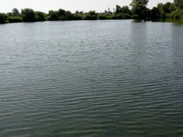 Kleiner Schwanensee (Rechtenfleth)