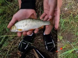 Stausee Glockengraben (Teistungen)-1