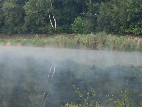 Kleiner Schöninghsee